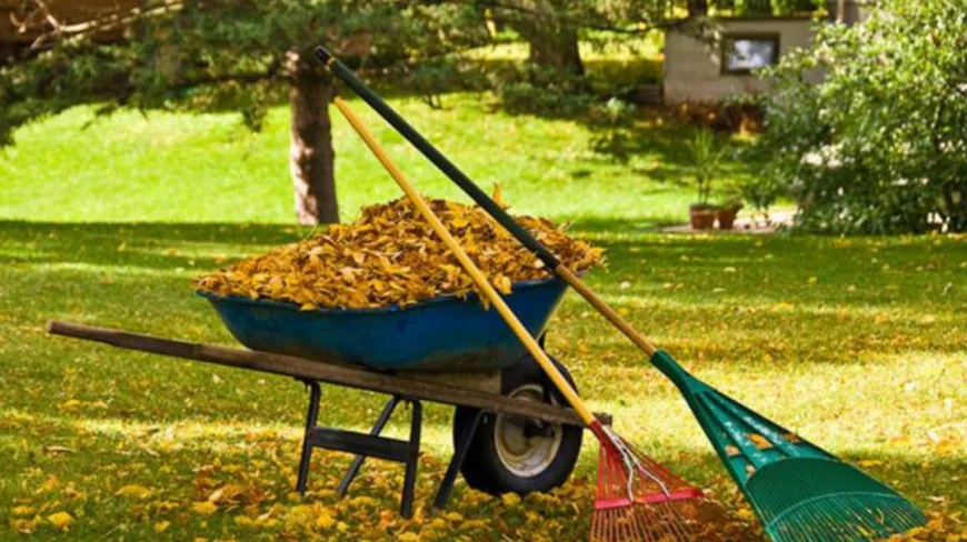 How to Keep Your Lawn Clean Without Overwhelming Your Trash Bins