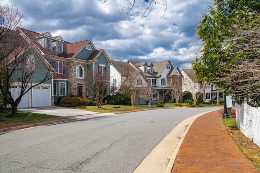 What Signs Indicate You Need Pest Control Services at Home?