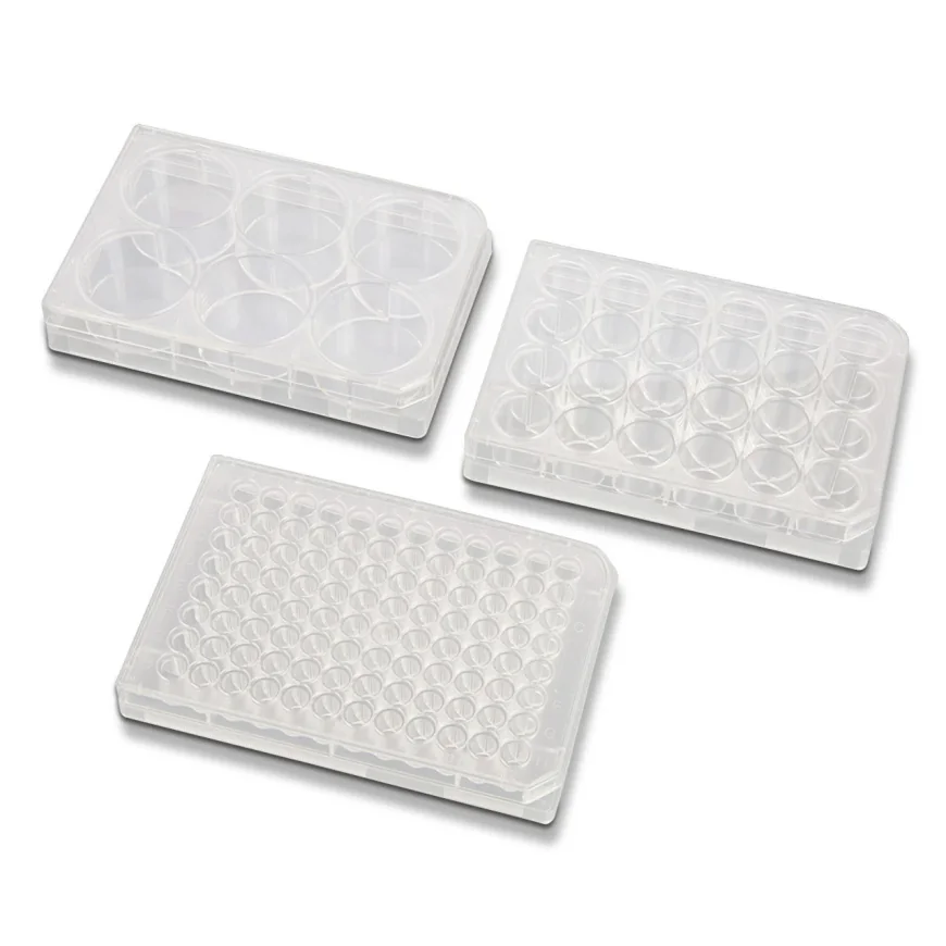 How to Choose the Best Cell Culture Consumables for Research