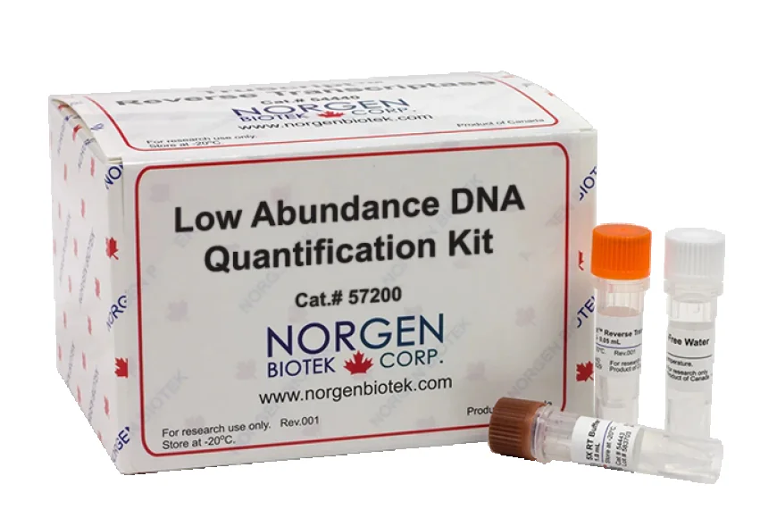 How to Choose High-Quality Quantified DNA Standards for Your Lab