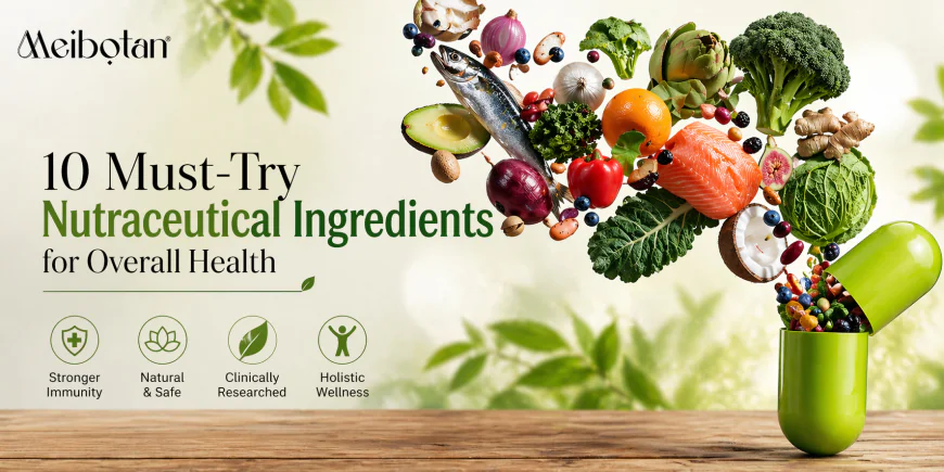 10 Must-Try Nutraceutical Ingredients for Overall Health | Complete Guide by Meibotan