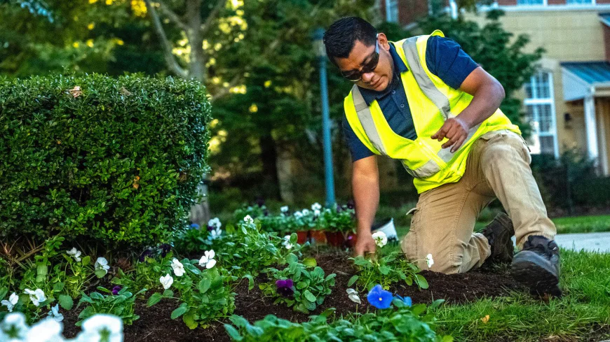 Commercial Landscaping Services to Elevate Arlington Business Spaces
