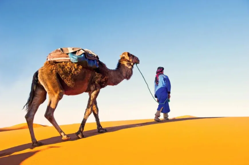 how a marrakech circuit reveals the hidden wonders of moroccan culture