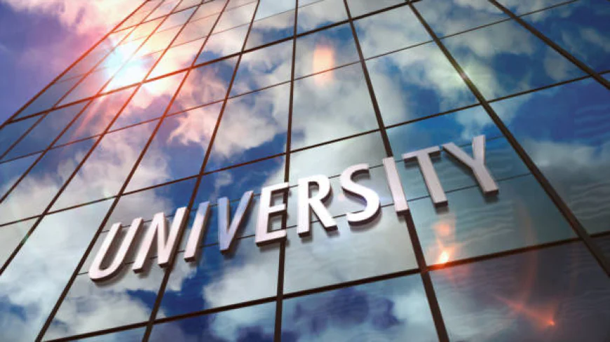 What University Tech Transfer Offices Need to Know About Venture-Backed Spinouts