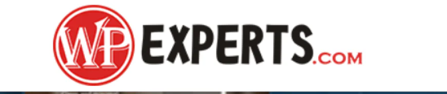 WordPress SEO Company: How Professional Optimization Helps Websites
