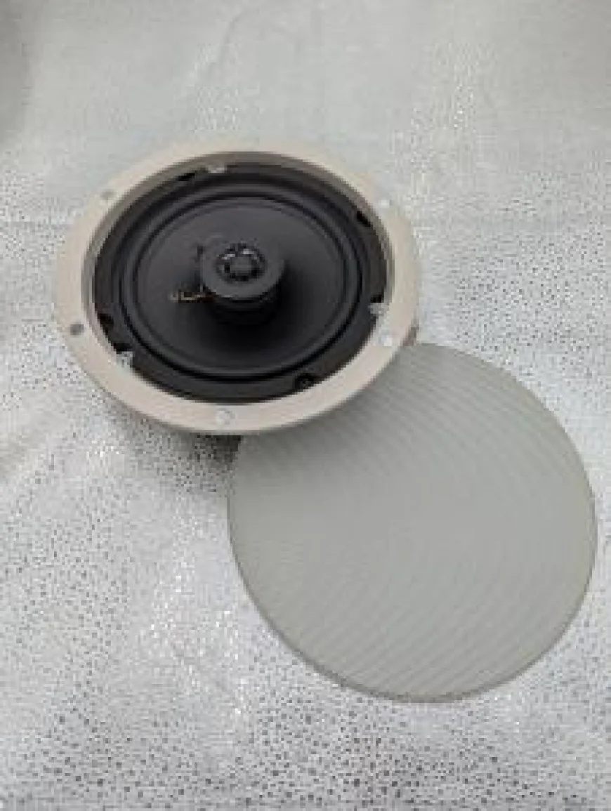 Ceiling Speaker Setup Tips for Better Business Audio Coverage