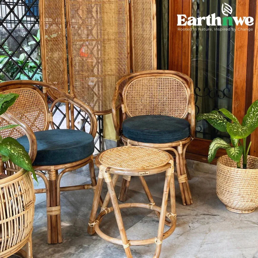 What Are Rattan Dining Chairs and Why Are They So Popular?