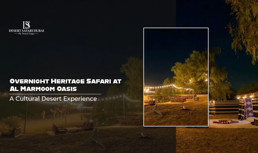 Overnight Heritage Safari at Al Marmoom Oasis: A Cultural Desert Experience