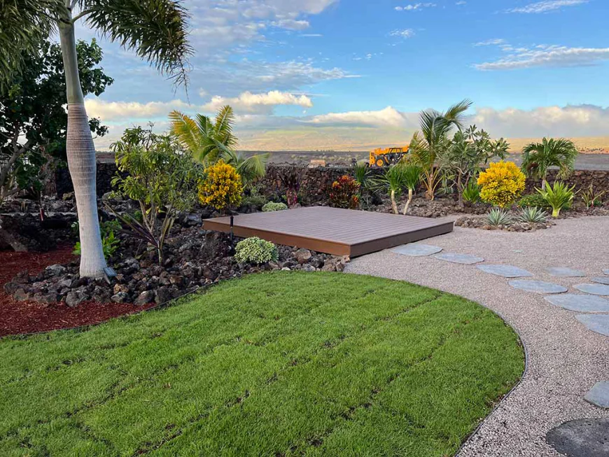Transforming Backyards into Personal Retreats with Custom Plantings