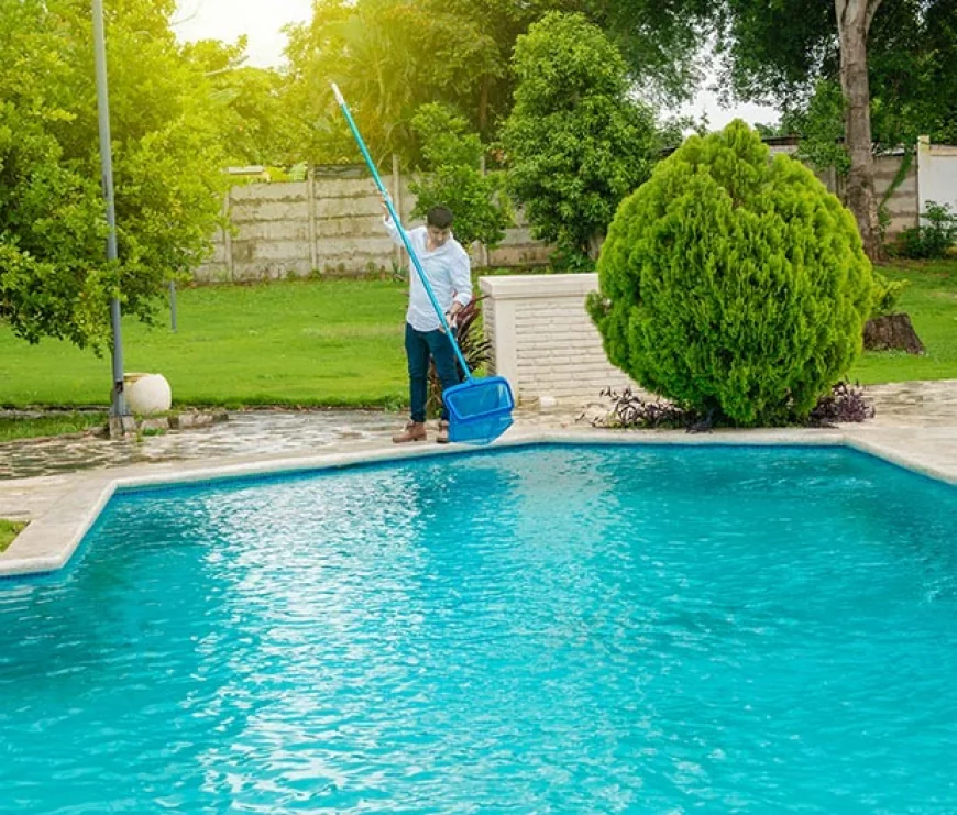 What Are the Benefits of Hiring Pool Maintenance Services in Box Hill?