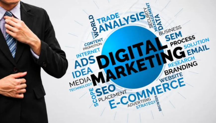 Top 5 Digital Marketing Experts in Panchkula 2026