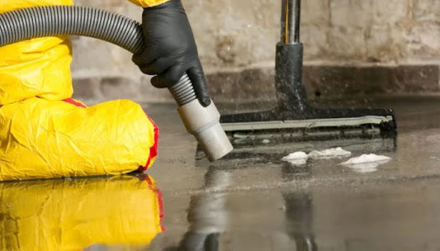 Top Signs Your Home Has Excess Moisture Problems