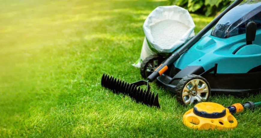 Premium Weed Control: Elevating Vancouver Property Value