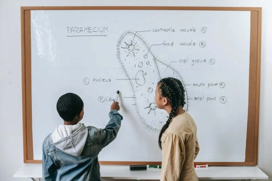 Exam Tutors: How Expert Guidance Helps Students Achieve Higher Scores