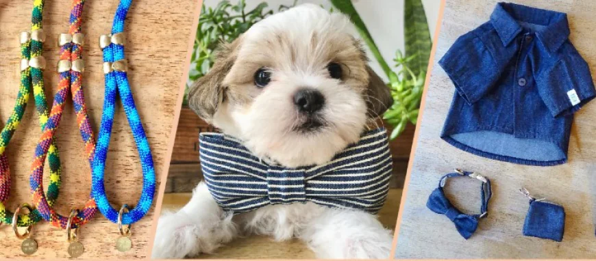 The Ultimate Guide to High-Quality Dog Accessories for Every Breed