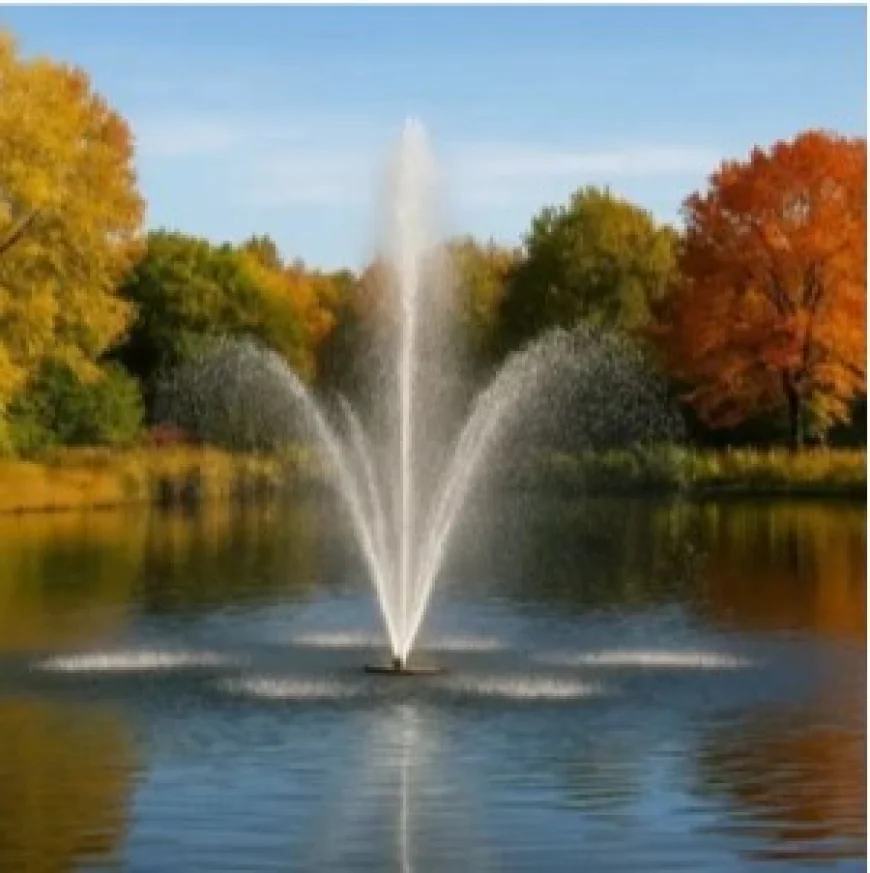 Pond Fountains Floating on Your Water Feature: A Complete Owner's Guide