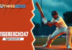 Tiger Exchange 247: Enjoy online cricket at Tiger Exchange 247
