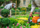 How Do Gardening Services in Centennial, CO Improve Your Outdoor Space?