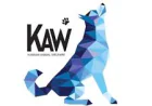 How Your Support and Donation Helps Save Animals Creates Real Change for Stray and Injured Animals