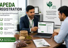 How to Apply for APEDA Registration Online in India