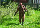 The Art Of Precision: Premium Weed Control For Iconic British Columbia Landscapes