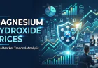 Magnesium Hydroxide Prices Index Analysis with Quarterly Trend and Forecast Prices Chart