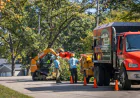 How an Arborist Can Save Your Trees After a Storm