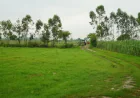 Is Agricultural Land in Garh Mukteshwar a Good Investment?