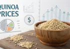 Quinoa Prices Index Analysis with Quarterly Trend and Forecast Prices Chart