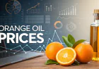 Orange Oil Prices Index Analysis with Quarterly Trend and Forecast Prices Chart
