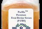 What Makes Fetal Bovine Serum Suppliers Essential for Cell Culture Research?