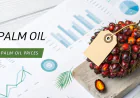 Palm Oil Prices Trend Chart with Quarterly Price Index and Forecast Prices