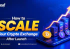 How Crypto Exchanges Scale with New Features After Launch