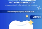 Emergency Dental Care in Charlotte, NC: How TruDental Helps Patients Get Relief