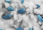 Why Clear Quartz Crystal Points Are Essential for Crystal Collectors and Spiritual Practices