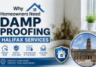 Why Homeowners Need Damp Proofing Halifax Services