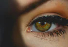 Top Eyelash Extension Trends in India for 2026: Lash Styles Clients Are Obsessed With