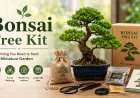 Bonsai Tree Kit: Everything You Need to Start Your Miniature Garden