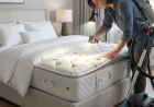 The Ultimate Guide to Finding Bed Bugs in Your Mattress Before They Spread