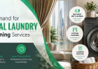 The Growing Demand for Professional Laundry and Curtain Cleaning Services