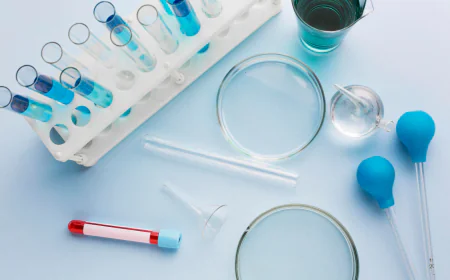 Laboratory Supplies Guide: Essential Tools for Labs
