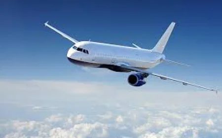 Southwest Airlines MCO Terminal +1-888-738-0817