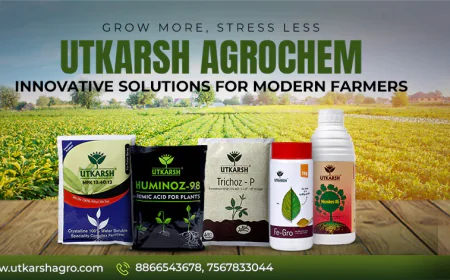 Iron Zinc Chelated Fertilizer and EDTA Micronutrient Fertilizer for Healthy Crop Growth