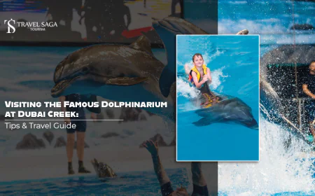 Visiting the Famous Dolphinarium at Dubai Creek: Tips & Travel Guide