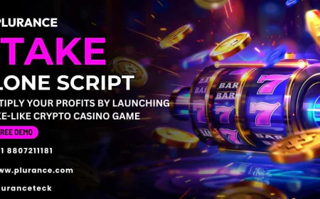 Stake Clone Script Development Company Guide: Choose the Right Partner