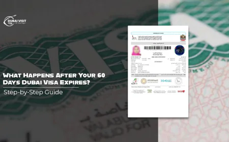 What Happens After Your 60 Days Dubai Visa Expires? Step-by-Step Guide