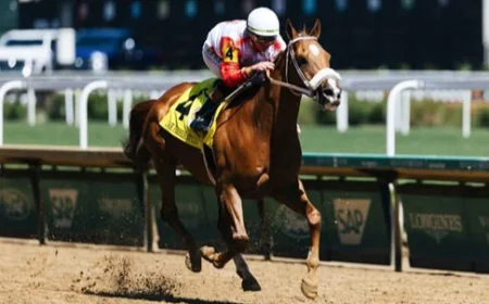 Horse Racing in Chennai: Madras Race Club Guide