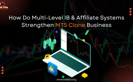 How Do Multi-Level IB & Affiliate Systems Strengthen MT5 Clone Business