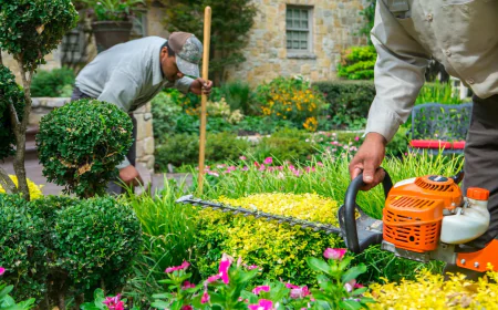 How Do Gardening Services in Centennial, CO Improve Your Outdoor Space?