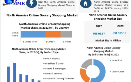 North America Online Grocery Shopping Market Innovations Revolutionizing Retail Supply Chains